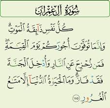 images (1)